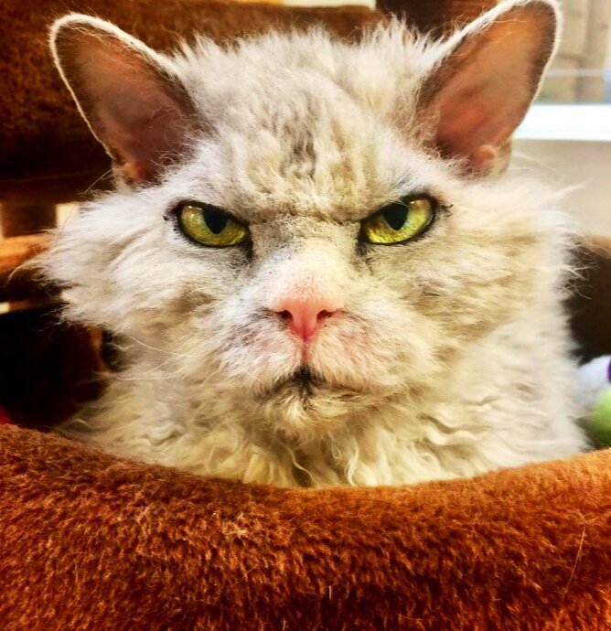 Изображение взято из Яндекс.Картинки