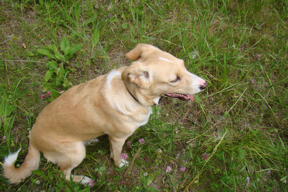 Лада точно будет со мной "там". Когда-нибудь...