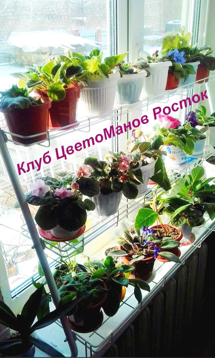 Ширина на выбор- 64,84 или 104см