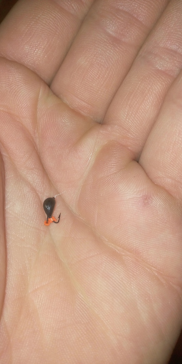 Коза. Вид сверху