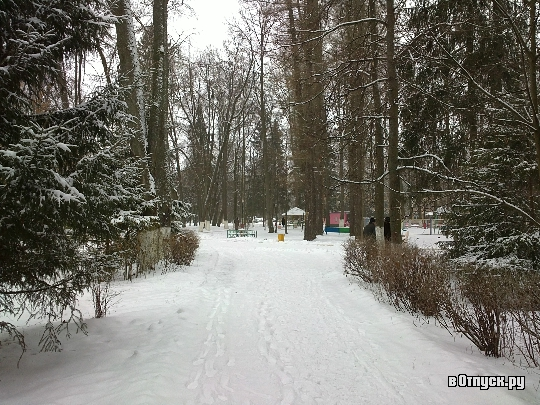 (Яндекс картинки)