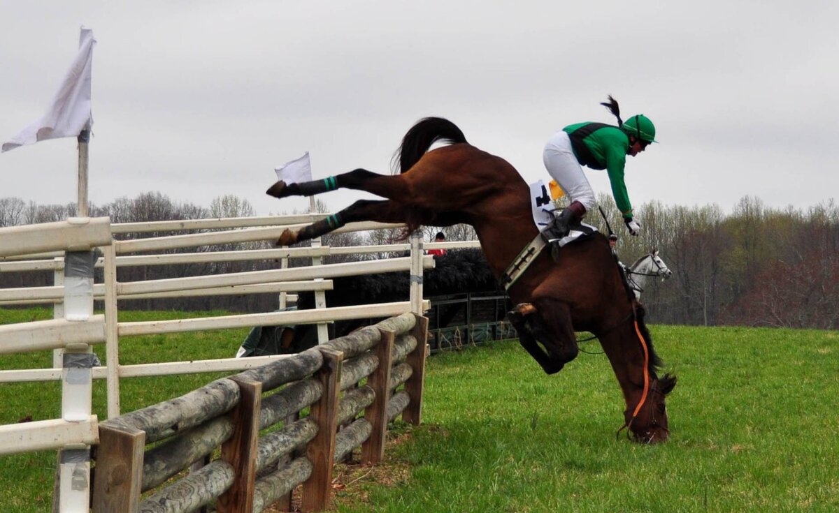 Подписывайтесь и узнавайте всё самое лучшее с нами!