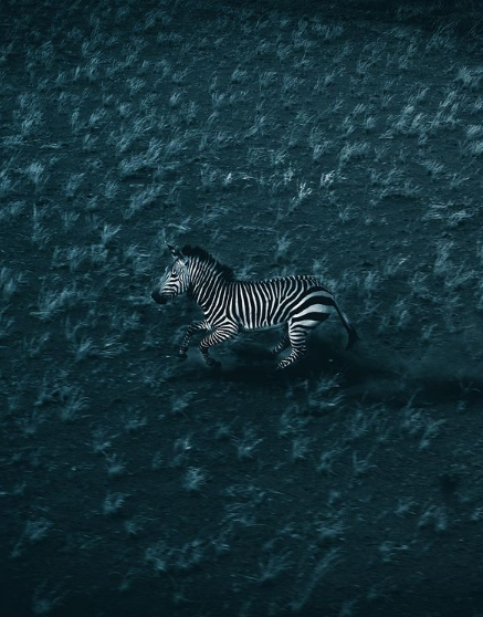 Источник фото @airpixels