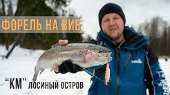 ФОРЕЛЬ на ВИБЫ - лучший вариант когда нигде не клюёт! / Клевое Место Лосиный остров