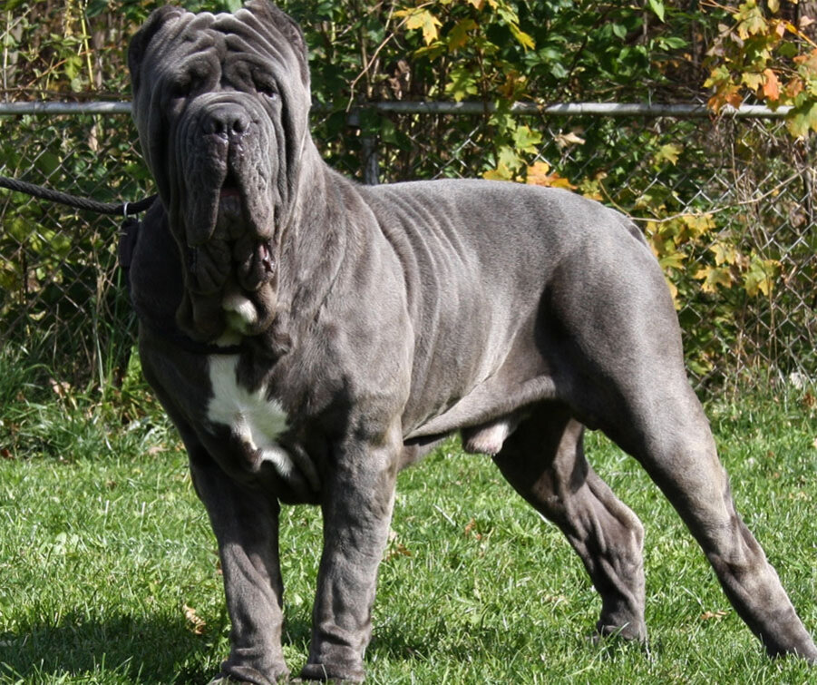 Картинка из сети интернет для иллюстрации