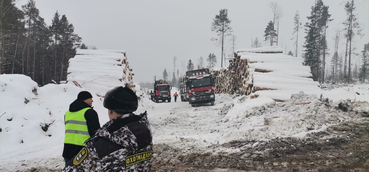 Проверка лесовозников