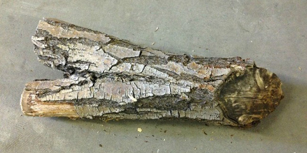 фото Яндекс.Картинки