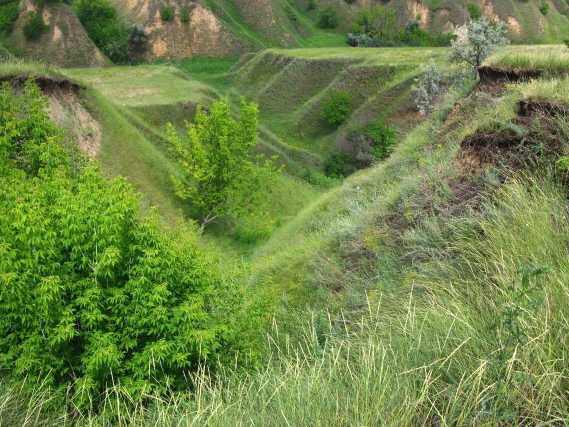 Что такое балка. Курская область овражно балочный рельеф. Овраг балка Лощина. Поверхность Забайкалья холмы горы овраги. Байрак овраг.