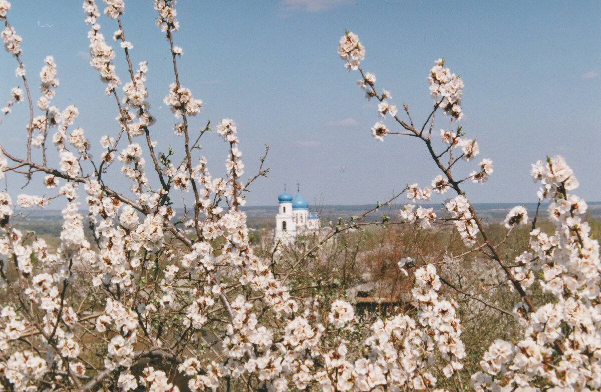 Станица Гундоровская