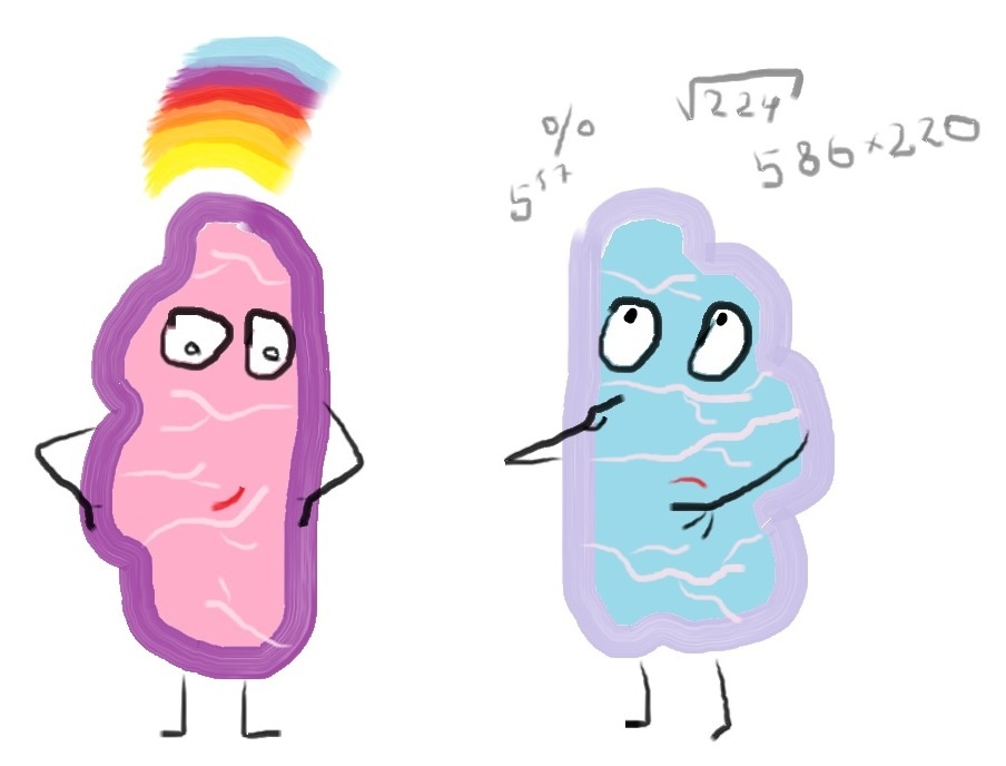 рисунок автора