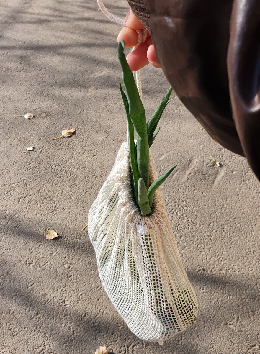 Овощи обычно упаковываю прямо так.