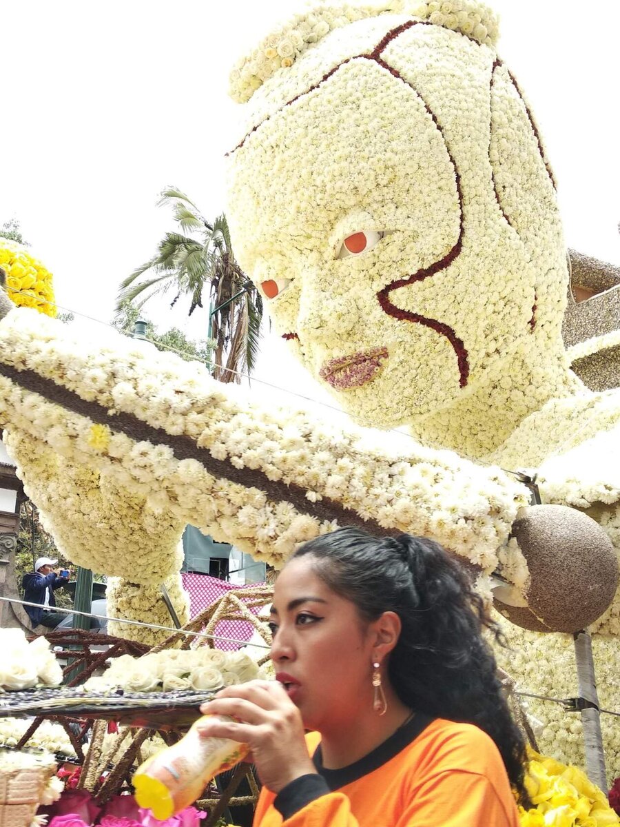 Рассказать в статье о таком празднике коротко никак не получится,слишком много вмещает в себя это мероприятие. Уличные шествия нарядных людей,исполняющих невероятно красивые танцы под зажигательные латиноамериканские ритмы, музыканты- марьячи, около двадцати машин,на которых установлены огромные композиции из живого цветка и фруктов  и так далее. Глаза разбегаются и хочется заснять это чудо- карнавал.