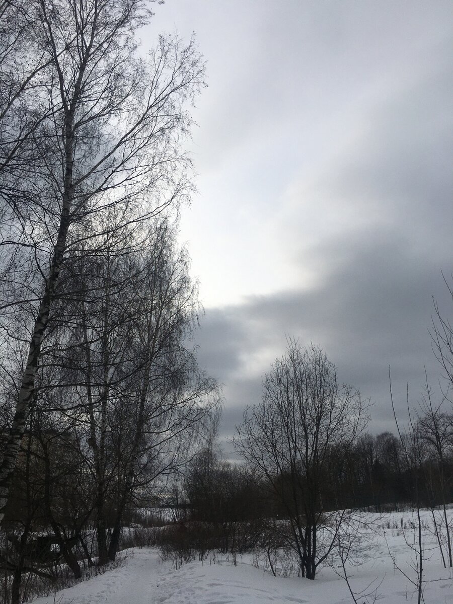 Небесные блинчики солнца