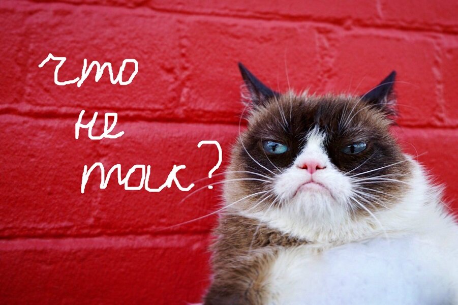 Что не так со сроками?
