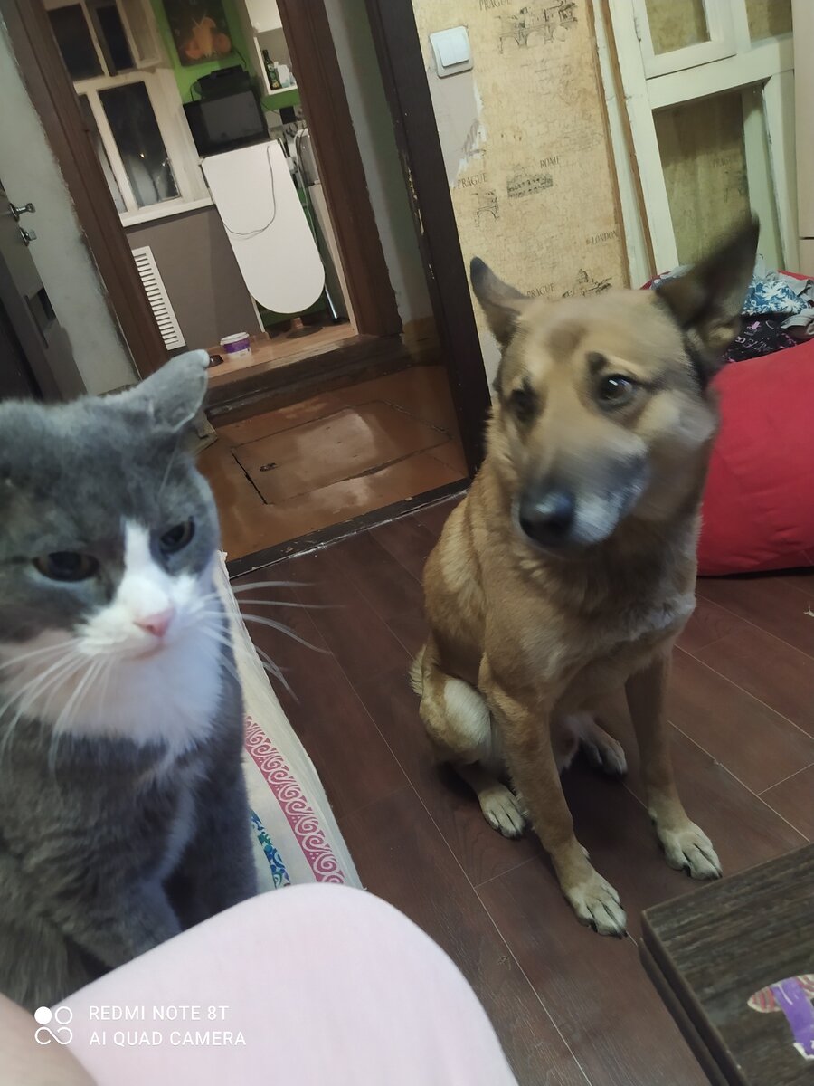 Главные не любители позировать. 