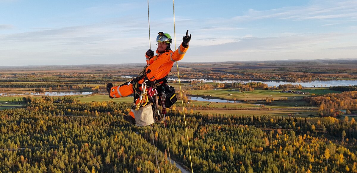 Нам действительно сверху видно все. Ну или почти все.