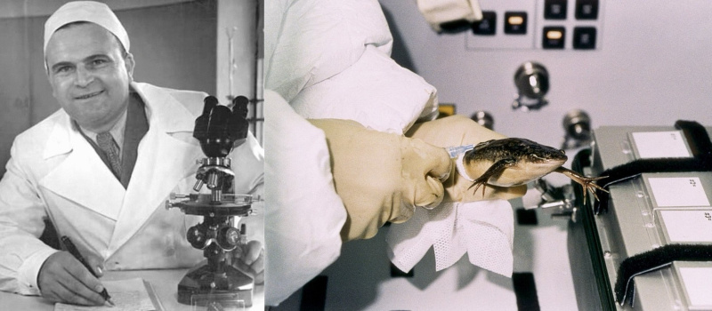 Слева на фотографии Дорогов Алексей Власович.