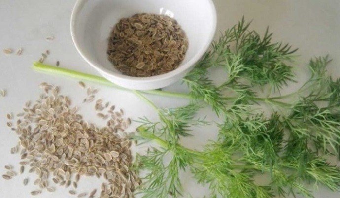 Фото из свободного источника