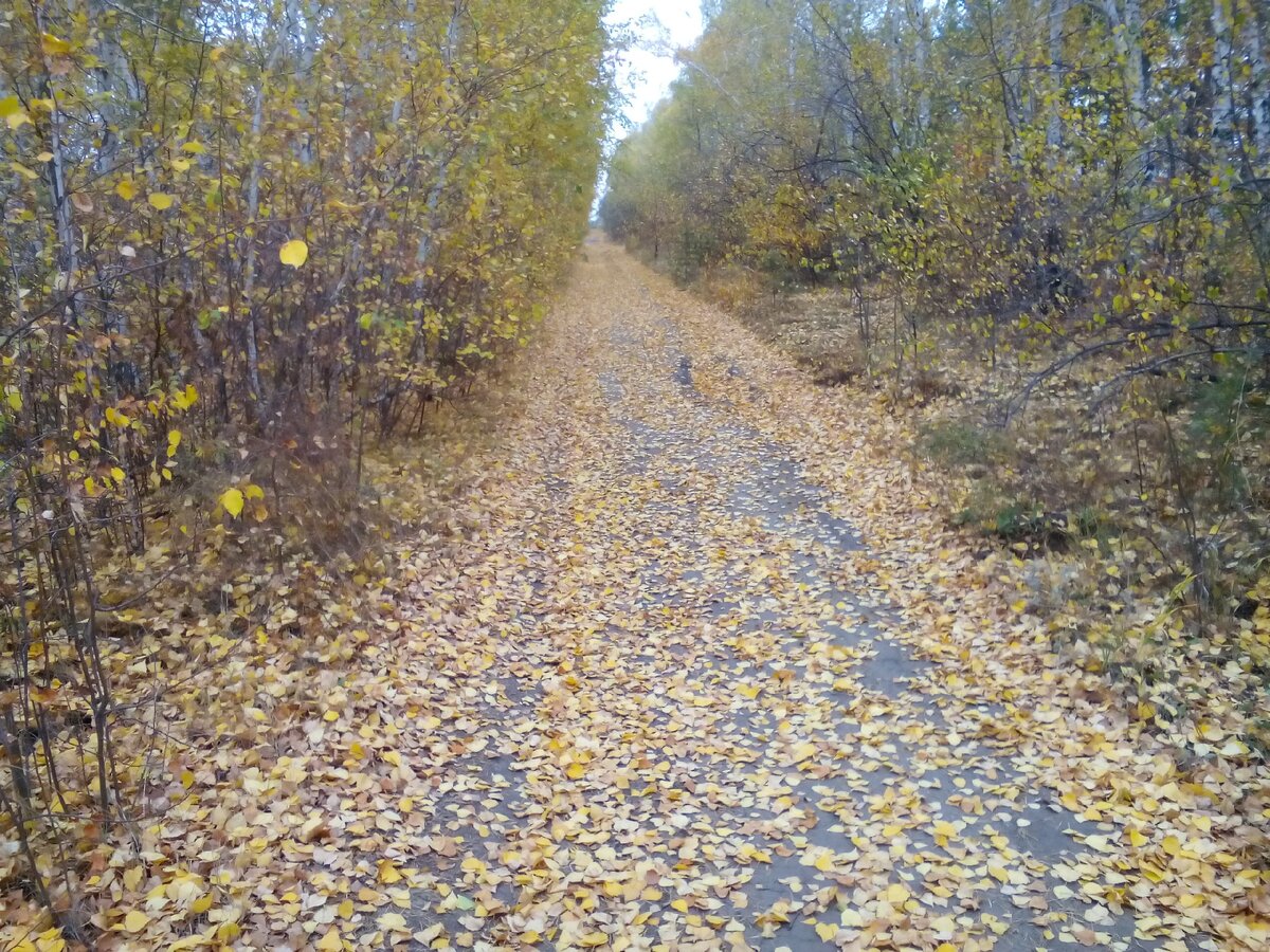 Дорога уходящая в небо.