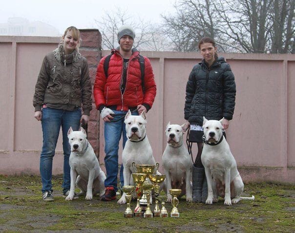 Международная выставка собак в Минске. Мы с Джиной слева.