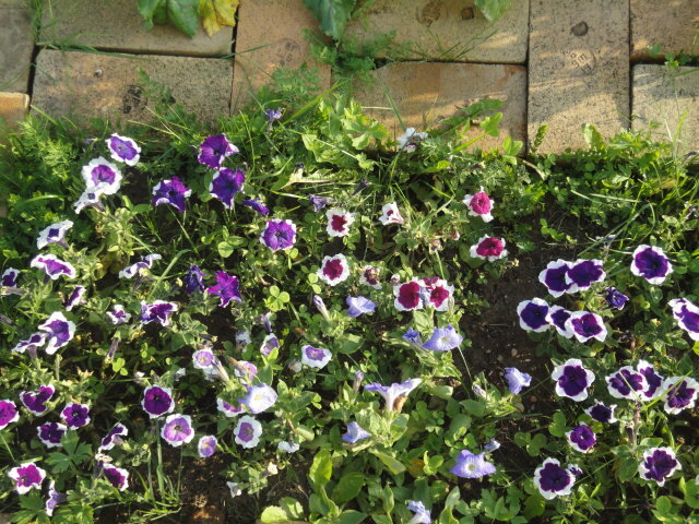 клумба из б/у кирпича