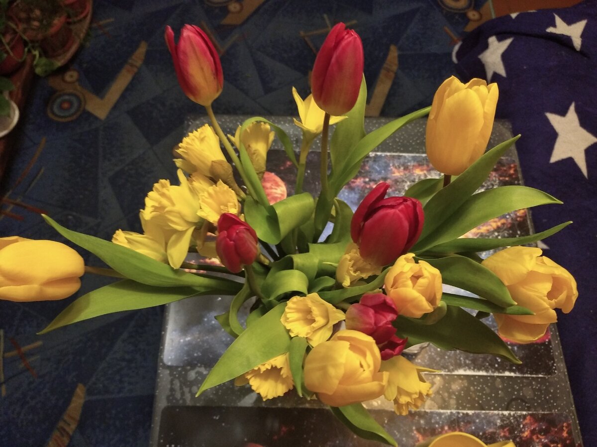 Согласитесь, красота? 