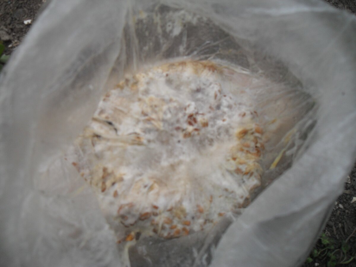 Фото из личного архива