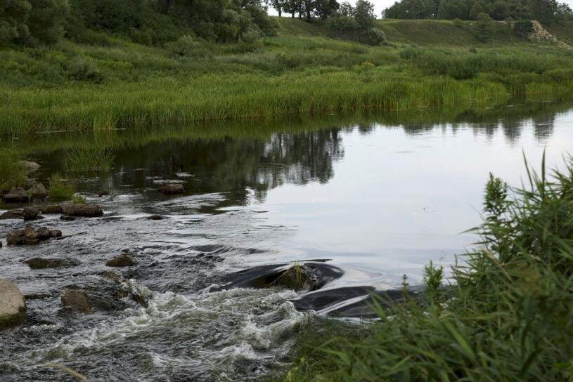 Фото: Виктор Медведев