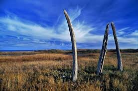 Китовая аллея