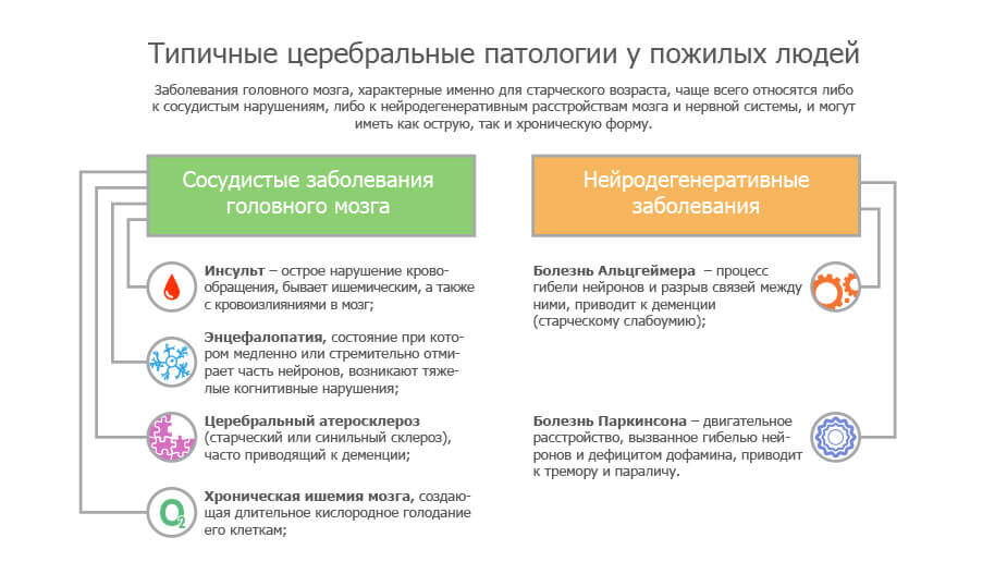 Типичные церебральные патологии у пожилых людей