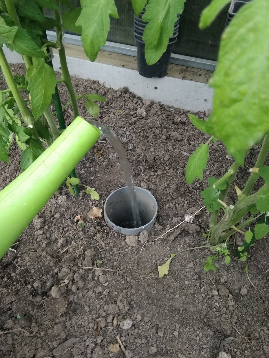 Фотография из личного архива