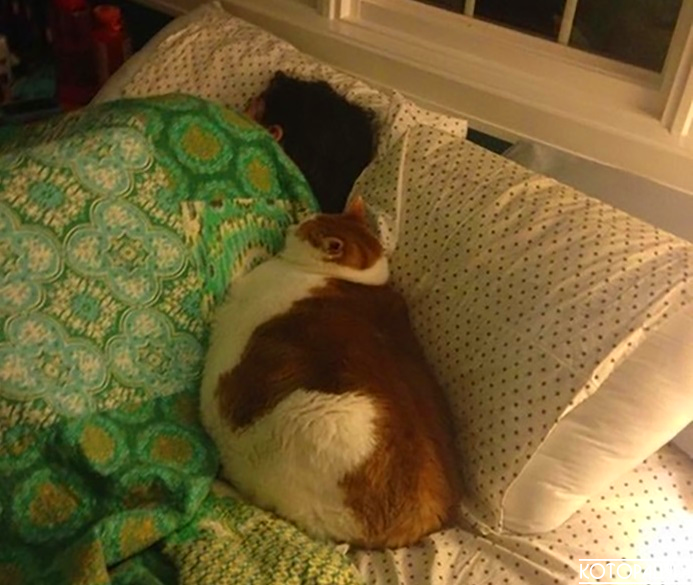 Источник: pinterest.com