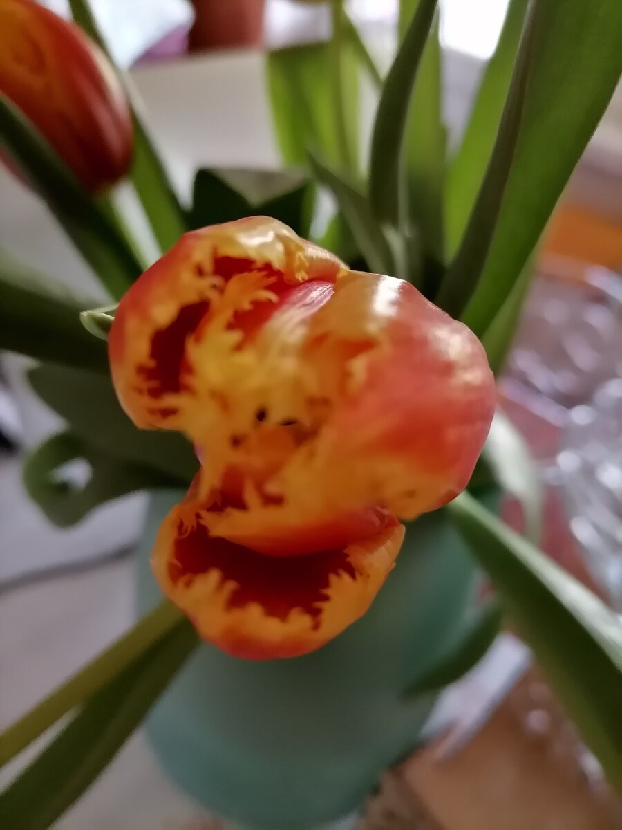 Мысли материализуются