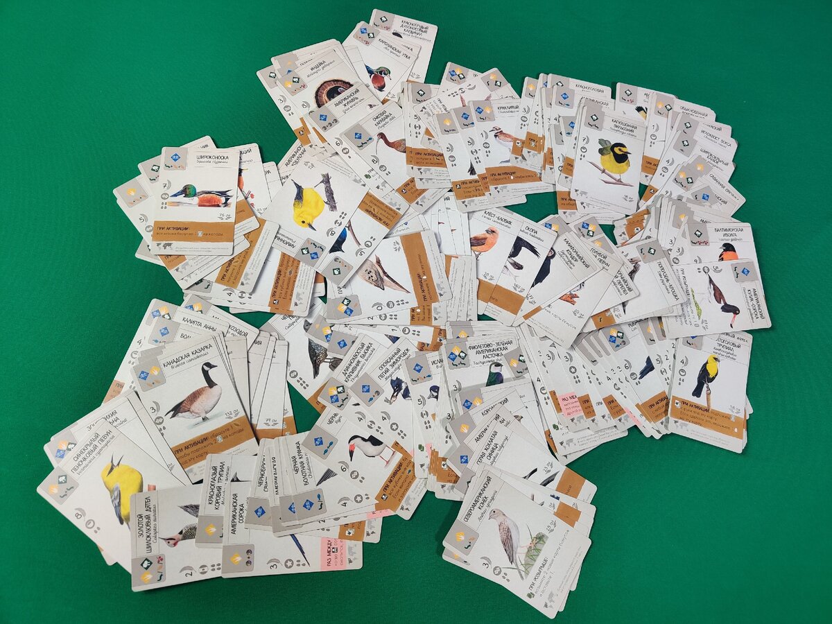 170 птиц. До это игры я мог назвать 5-7 птиц от силы. Теперь не менее десяти.