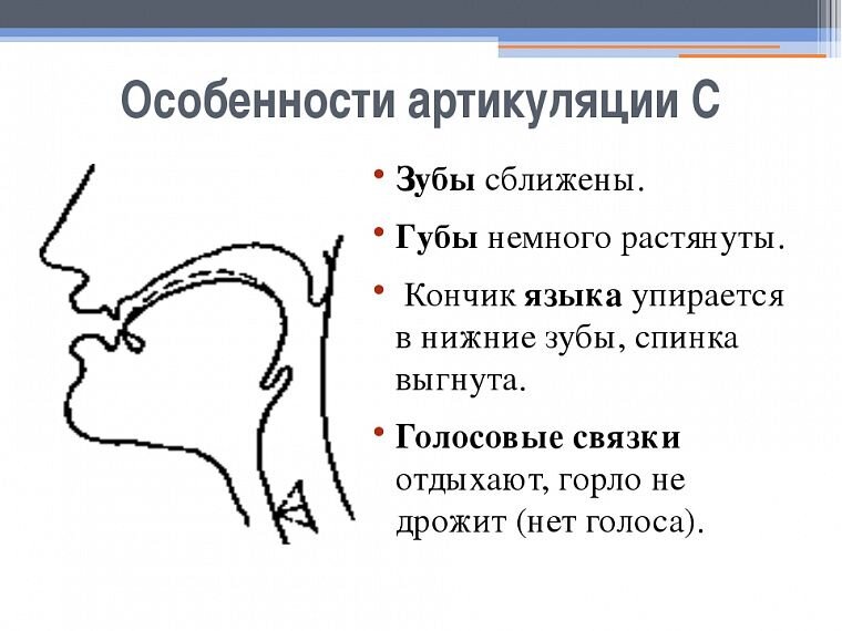 Коррекция щечного сигматизма