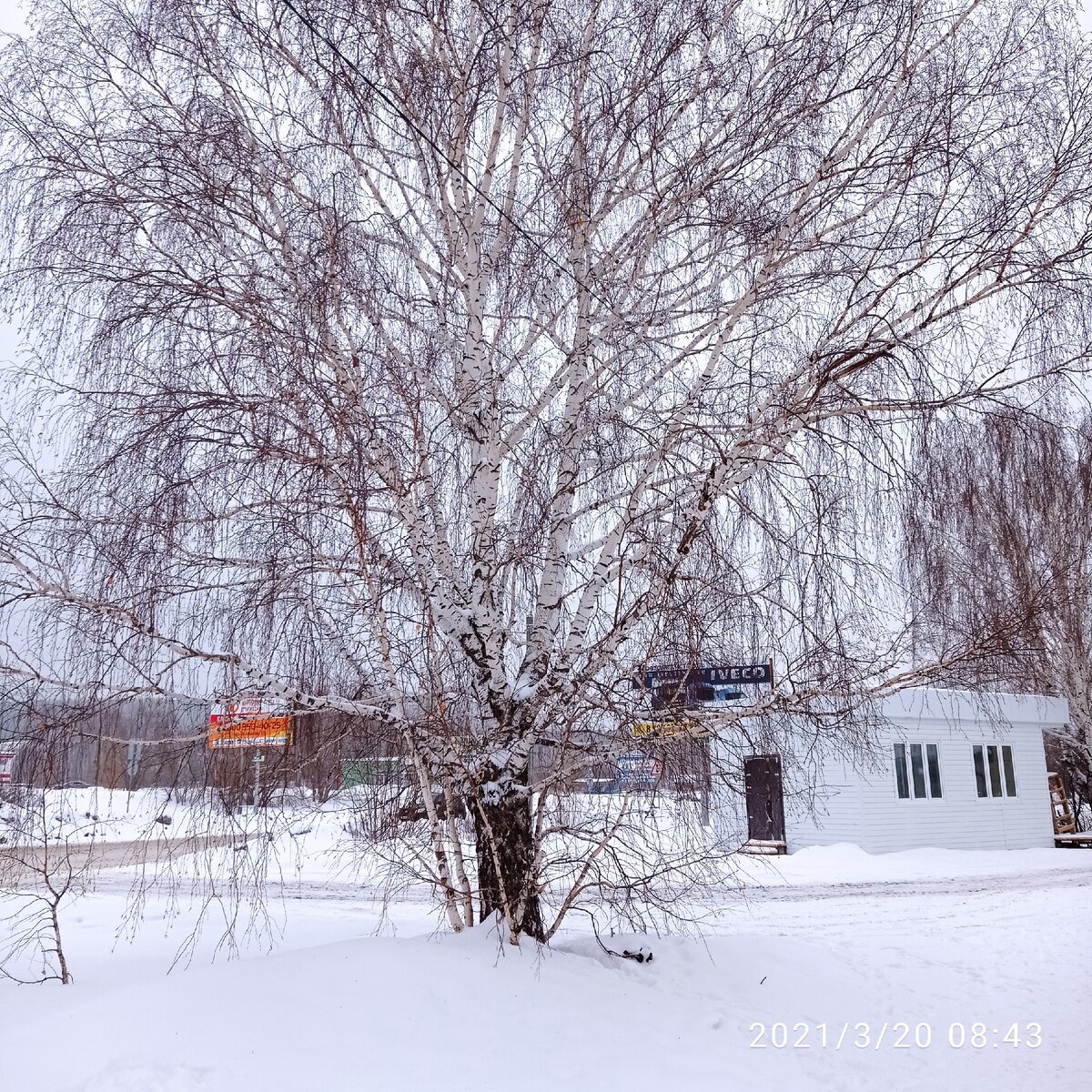 Снег идет второй день подряд