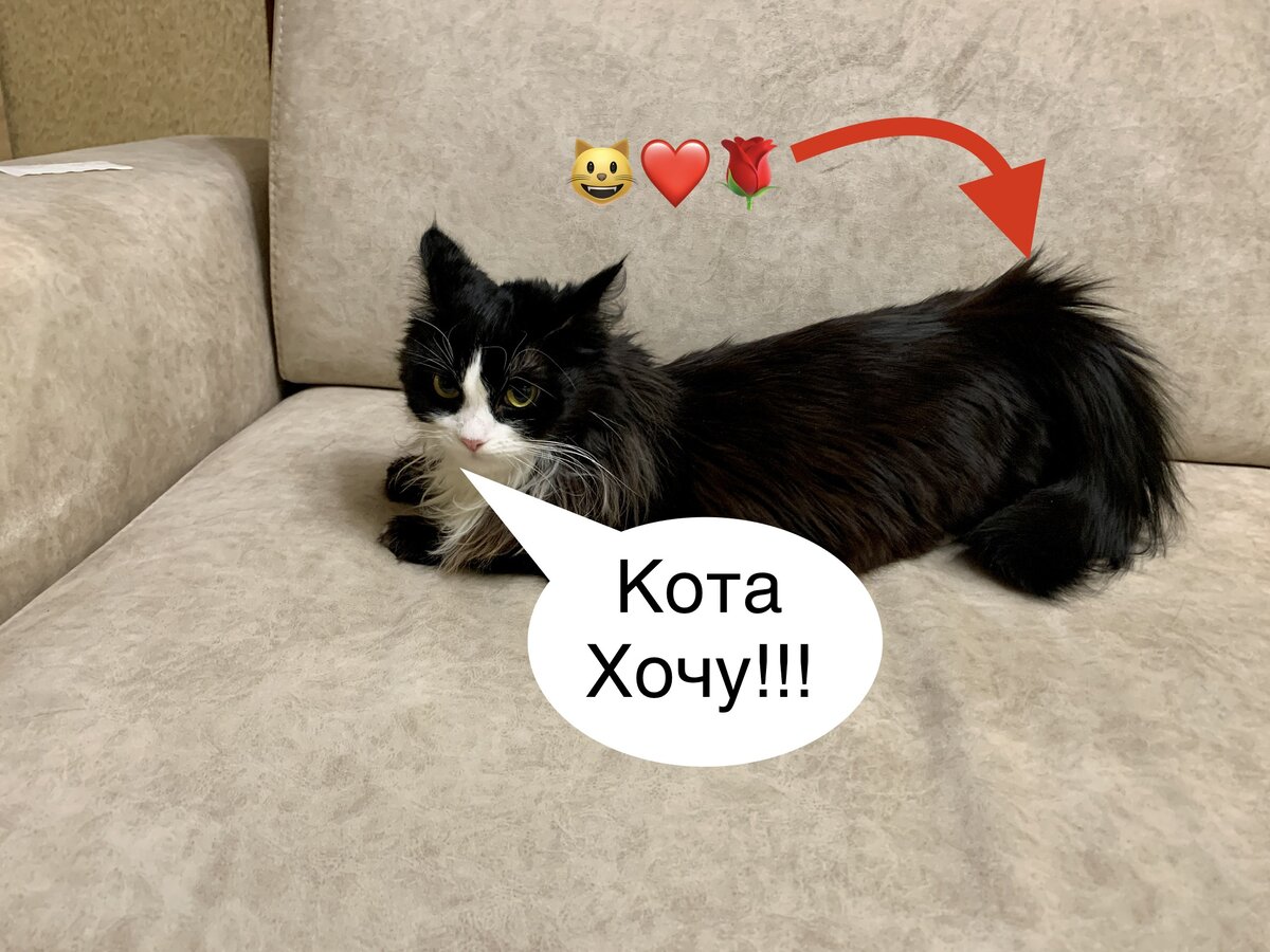 Требования не дают мне спокойно находится дома