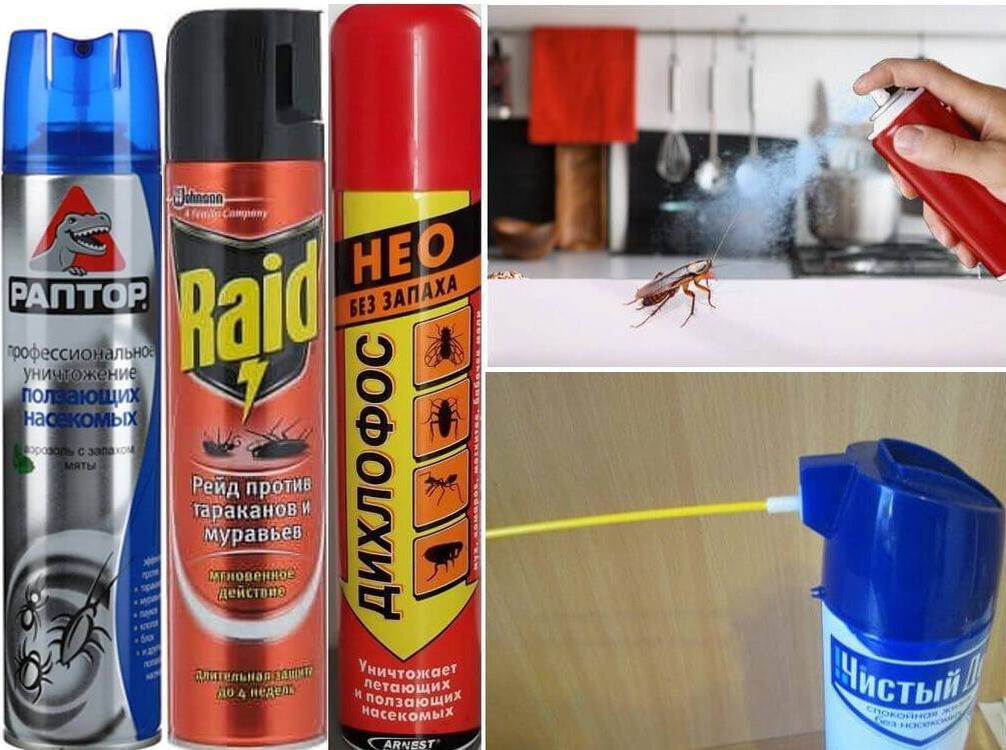 Раптор: циперметрин – 0,2%, тетраметрин – 0,2%, пиперонил-бутоксид – 0,5%. Raid: циперметрин 0,1% , имипротрин 0,1% . Нео: циперметрин - 0,2%, перметрин - 0,2%, тетраметрин - 0,2%, диметилсульфоксид, пиперонилбутоксид - 1,0%. Чистый дом: циперметрин - 0,18%, тетраметрин - 0,18%