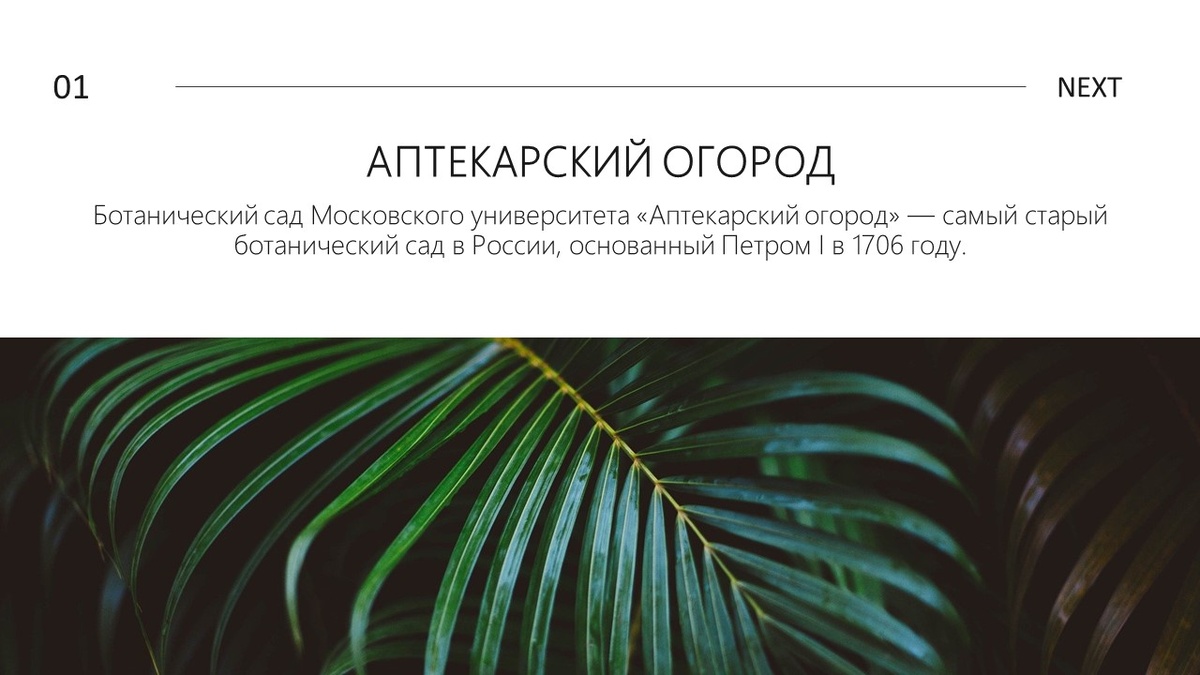 Презентационный материал автора