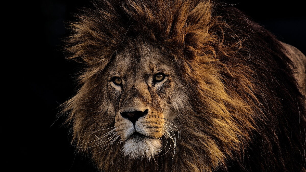 Alexas_Fotos/https://pixabay.com/