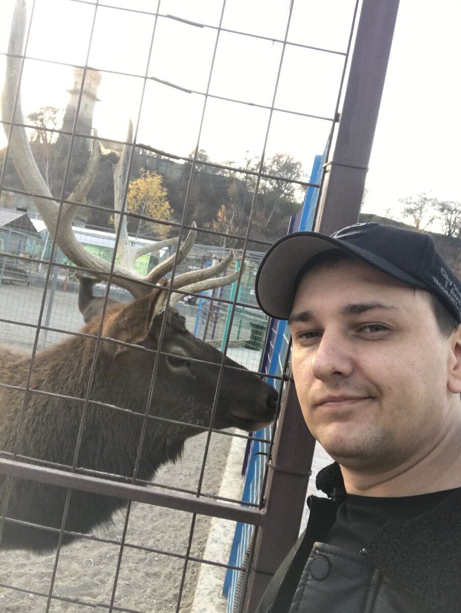 Вот таким благородным животным, называют мужчин, которые уж слишком "под каблуком"