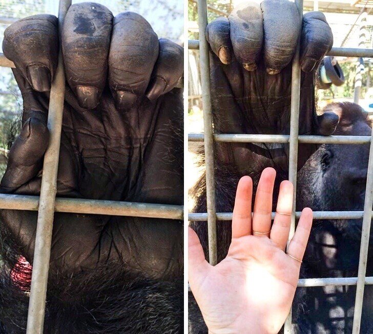 Источник фото: Яндекс.Картинки