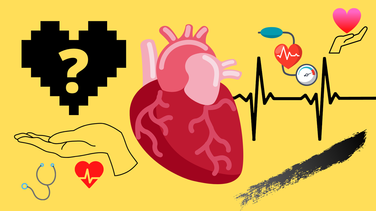 3 способа самостоятельно проверить работу сердца