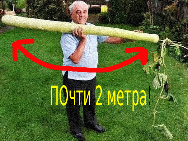 Альберт Маркантонио