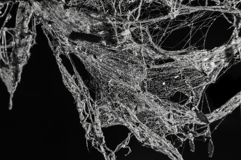 Каждому из нас нравиться когда вокруг чисто, светло и пахнет свежестью. Мы  генералим свои дома и квартиры, наводим порядок на своей территориии , моем машины . Многие, но далеко не все , очишают свой организм , но мало кто задумываеться над тем , что чистота энергетики особо важна для жизни человека . Когда дома накапливается грязь, пыль и паутина мы  это видим и стараемся от этого избавиться , когда грязь накапливаеться в организьме , появляеться интоксикация, и тогда мы чистим организьм. Но энергетическая грязь не видна, и потому большинство не обращает на это внимания . Энергетическая чистота важна не менее чем физическая , поэтому  ближайшее время будем говорить о чистках .
Почему нужно чистить энеретику своего жилья ? Мой дом - моя крепость . Так говорят.  Но порой в семье происходят какие либо недопонимания, ссоры , обиды , скандалы . От негативных эмоций распространяеться по дому негативная энергетика . Ссора сошла на нет , вы помирились , а негатив никуда не исчез , он остался осевший по углам грязной паутиной ( так видят ее ясновидящие). С каждой ссорой, с каждой негативной мыслью все это зависает в пространстве и вот уже не паутина а черные хлопья негативной энергетики наполняют ваше жилье свисая с потолка . Не смотря на идеальную физическую чистоту в доме становиться неуютно, не комфортно из такого дома хочеться постоянно уйти а скандалов и семейных ссор в таком жилье становиться все больше и больше. 
 Я не скажу что чистка это панацея , но довольно много жизненных и бытовых проблем можно решить просто регулярно проводя чистку энергетики человека и места в котором он живет .

Кому интересна тема , в следующих постах дам несколько методик очищения . 
