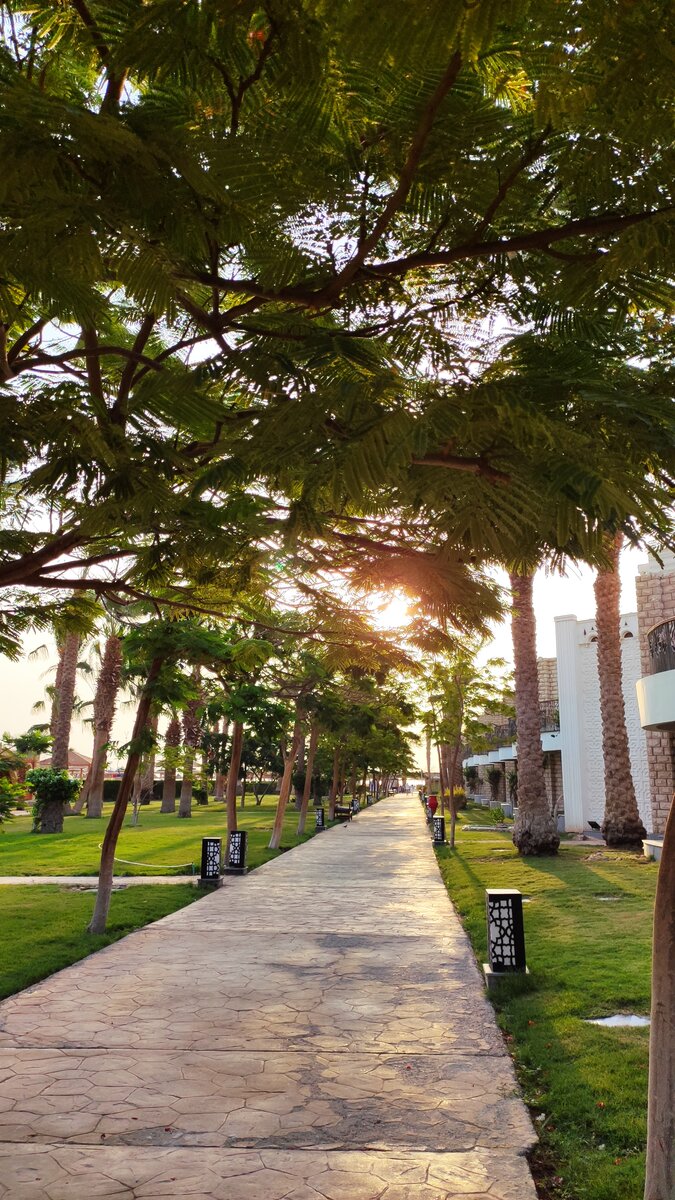 Территория отеля. Дорога к морю. Фото из личного архива.