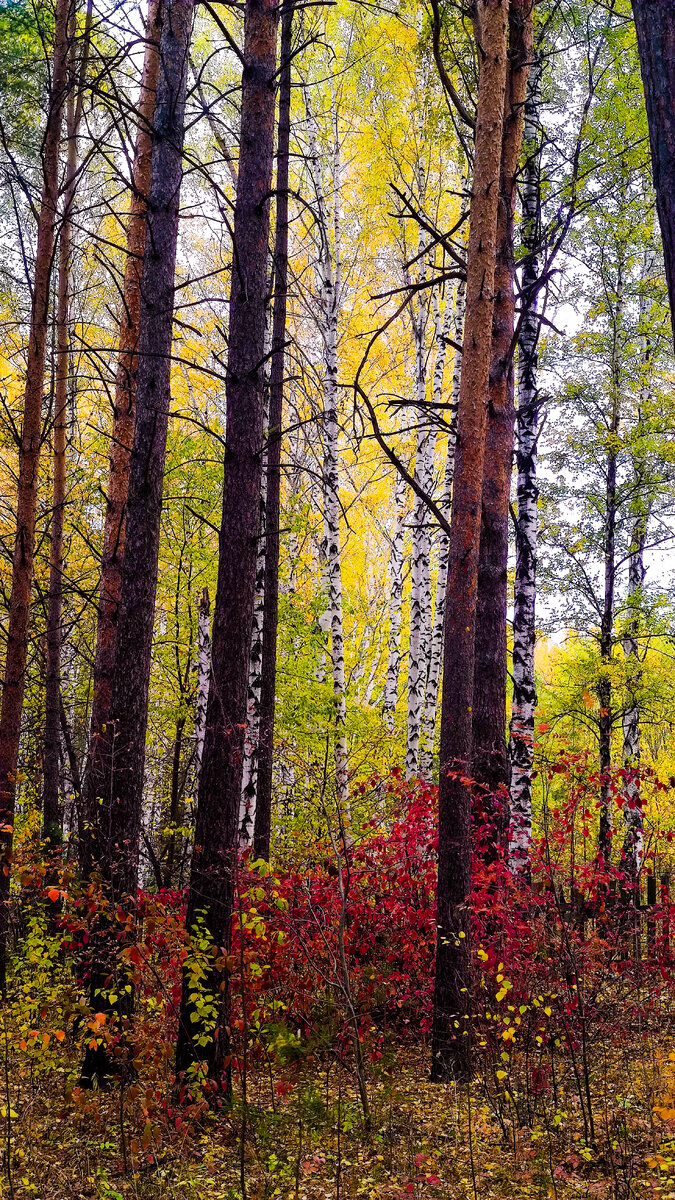 Екатеринбург