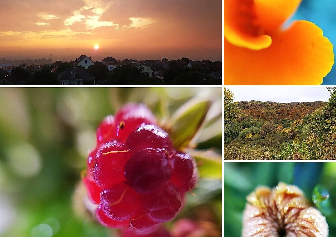 Фото автора. Скрин с Облака