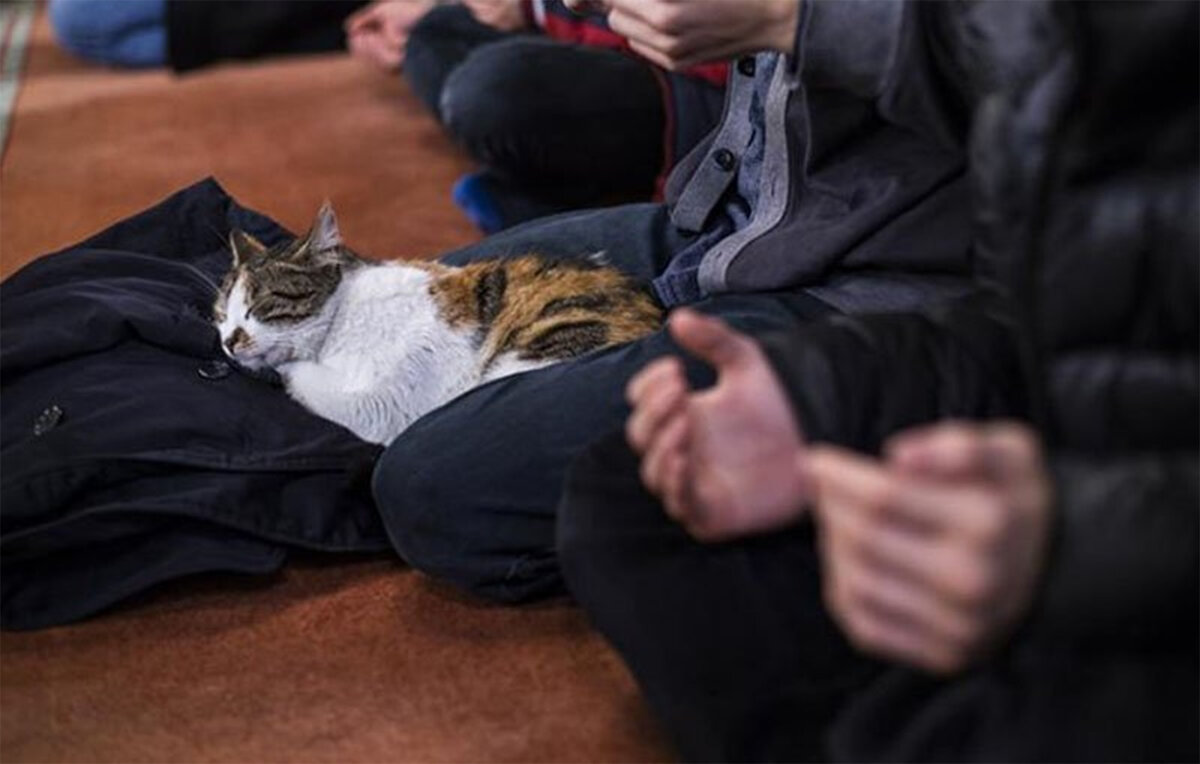 Влияние религиозных верований: