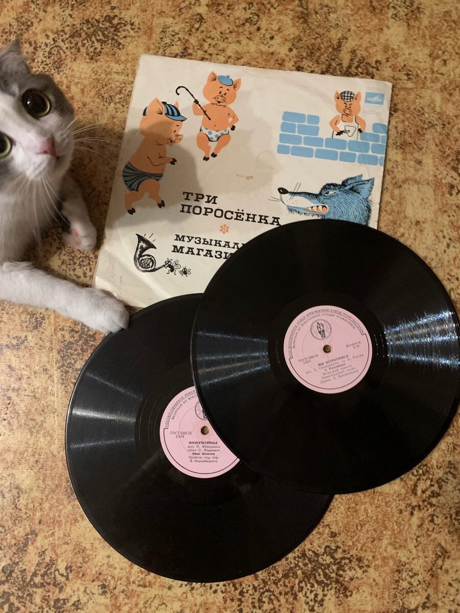 Пластинки и кошка Майя 😊